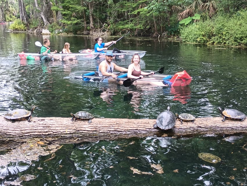 Silver Springs: Guided Clear Kayak or Paddleboard Gator Tour - Should you book the Silver Springs paddle?