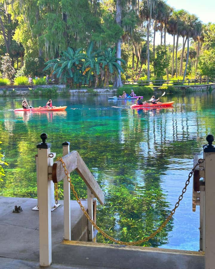 Silver Springs: Jungle Kayaking & Paddleboarding Adventure - Key points to know before you paddle