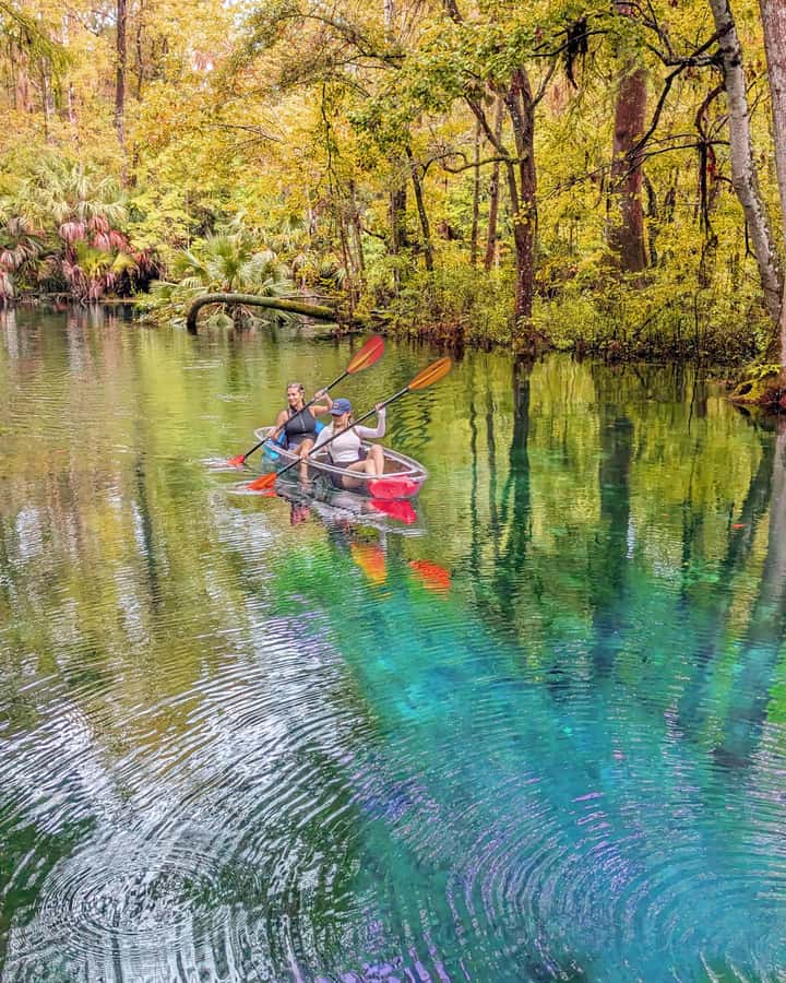 Silver Springs: Jungle Kayaking & Paddleboarding Adventure - A three-hour route through clear spring water