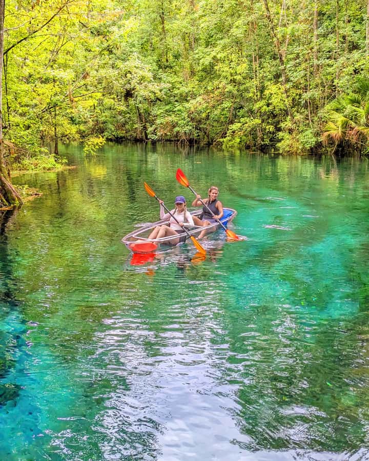 Silver Springs: Jungle Kayaking & Paddleboarding Adventure - What happens before launch