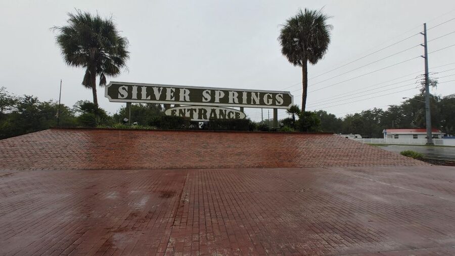 Silver Springs Manatee Kayaking Tour - Key points to know before you paddle
