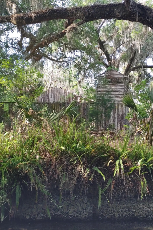 Silver Springs Manatee Kayaking Tour - Picking the best time of year