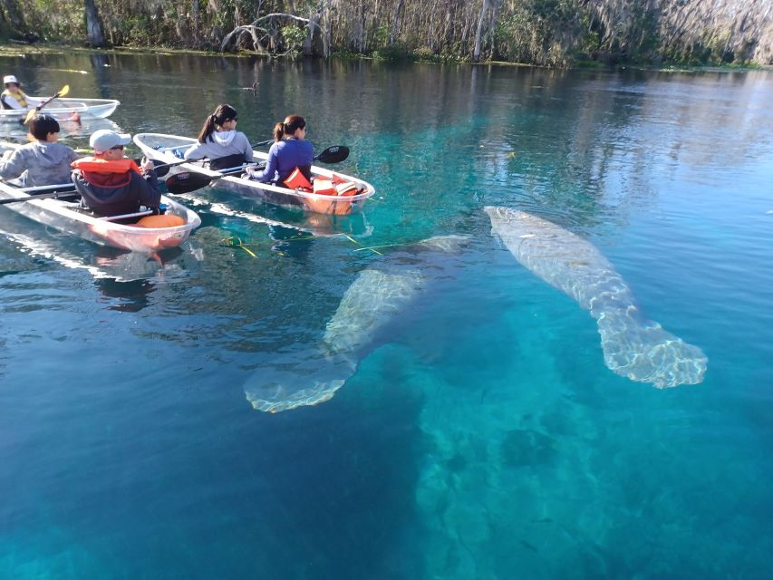 Silver Springs: Manatees and Monkeys Clear Kayak Guided Tour - Silver Springs at a glance