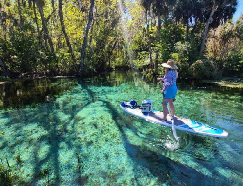 Silver Springs: Manatees and Monkeys Clear Kayak Guided Tour - A calm start for first-time paddlers