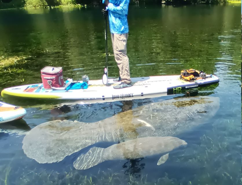 Silver Springs: Manatees and Monkeys Clear Kayak Guided Tour - Following the Fort King Trail and old movie props