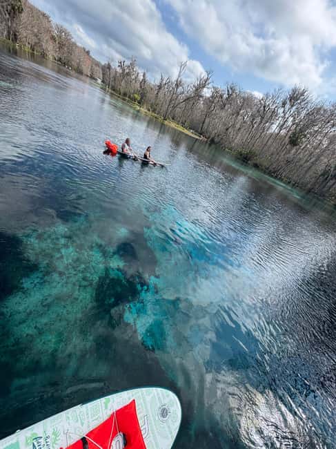 Silver Springs: Silver River Guided Kayak Tour - Key points to know before booking