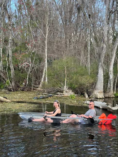 Silver Springs: Silver River Guided Kayak Tour - Why the clear kayak matters on the Silver River