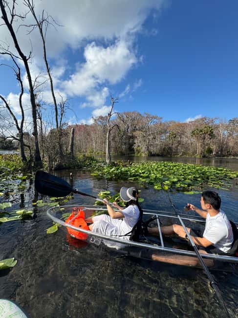 Silver Springs: Silver River Guided Kayak Tour - A relaxed 90-minute route on spring-fed water