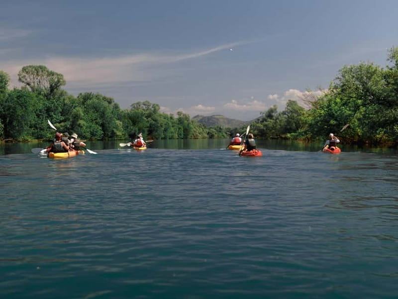 Skadar Lake: 4-Hour Guided tours on Kayak - Starting in Vranjina, not a crowded lakeside resort
