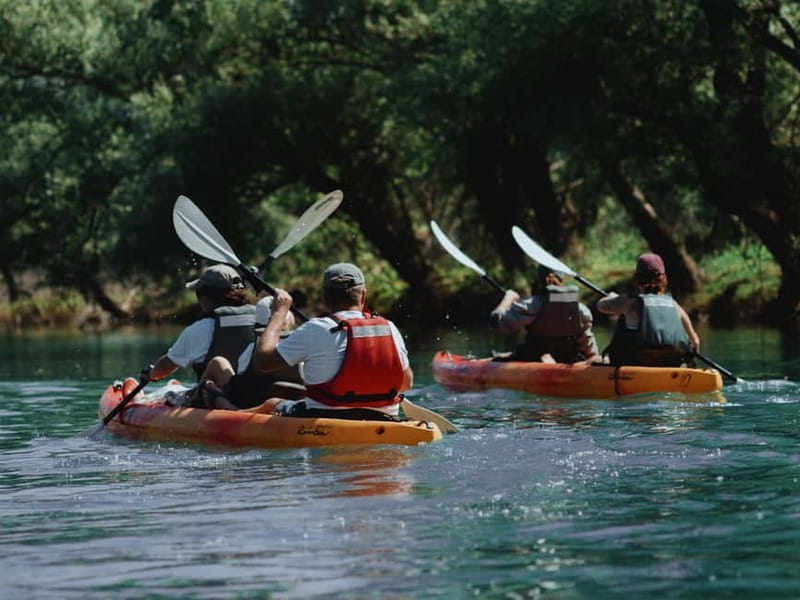 Skadar Lake: 4-Hour Guided tours on Kayak - Is $53 good value?