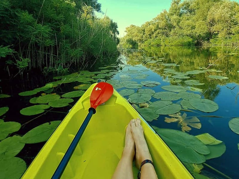 Skadar Lake National Park: Eco-friendly Kayak Adventure - Setting out from Virpazar’s central bridge