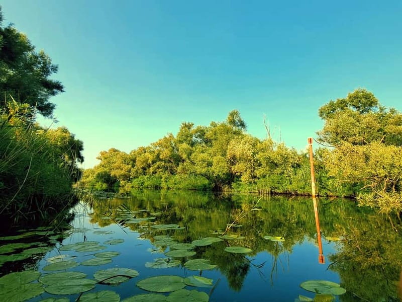 Skadar Lake National Park: Eco-friendly Kayak Adventure - Swimming in Lake Skadar