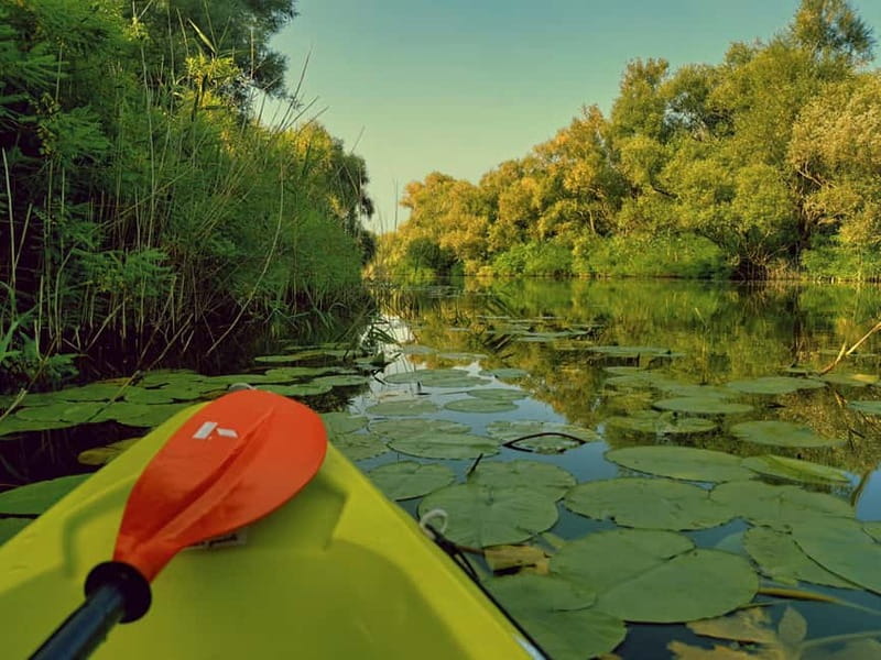Skadar Lake National Park: Eco-friendly Kayak Adventure - How much value do you get for $14?