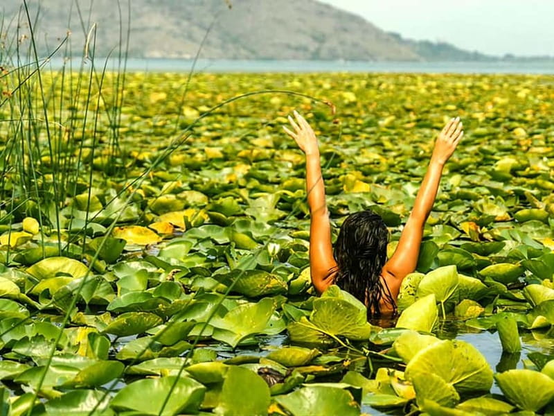Skadar Lake National Park: Eco-friendly Kayak Adventure - Should you book the Lake Skadar kayak outing?