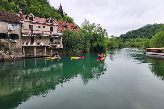 Skadar Lake on kayaks Experience with Spectacular Views - Timing, transport, and group size
