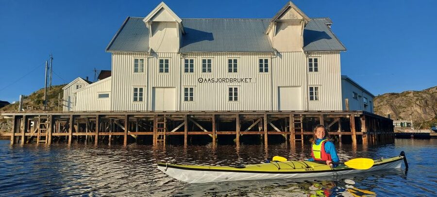 Skrova Island : 3hours Guided Kayak Tour - Should you book Skrova Kayak?