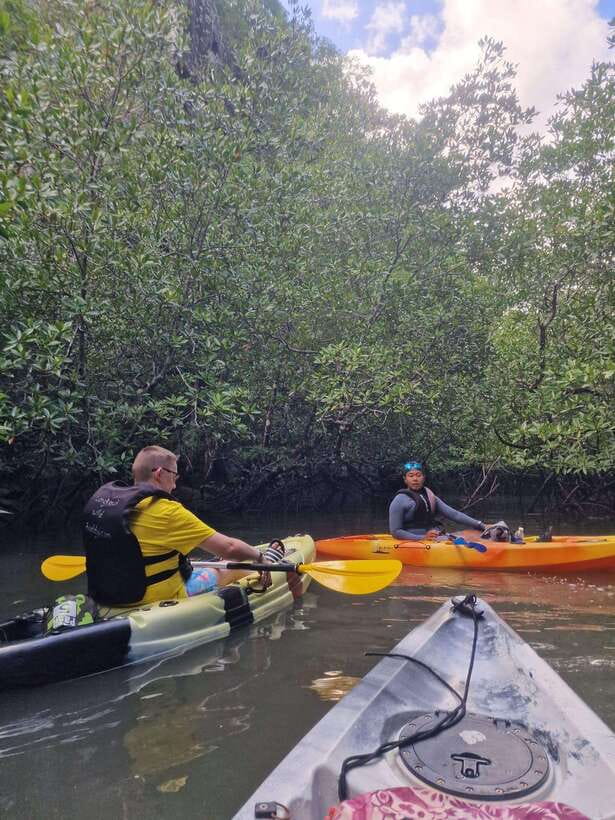 Small Group, Big Heart: Kilim Karst Mangrove Kayak Adventure - Bat Cave and its sleeping bats