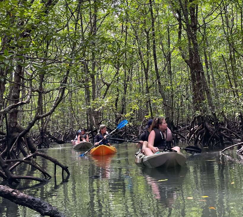 Small Group, Big Heart: Kilim Karst Mangrove Kayak Adventure - Who should book this kayak trip
