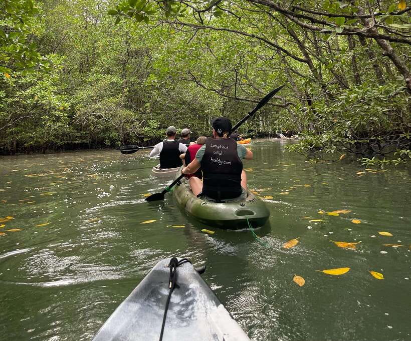 Small Group, Big Heart: Kilim Karst Mangrove Kayak Adventure - Should you book the Kilim kayak adventure?