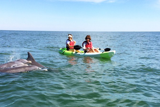 Small Group Dolphin Kayak Eco-Tour - Paddling into Virginia Beach dolphin country