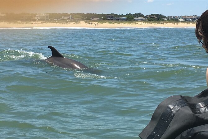 Small Group Dolphin Kayak Eco-Tour - Should you book the Dolphin Kayak Eco-Tour?