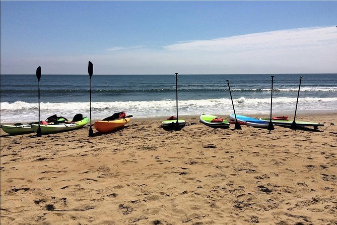 Small Group Dolphin Kayak Eco-Tour - How the dolphin watching works