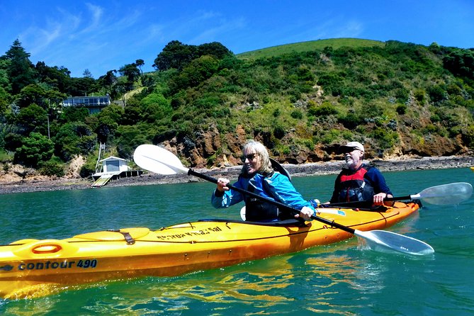 Small group guided sea kayaking in Akaroa marine reserve - Why the marine reserve is the main attraction