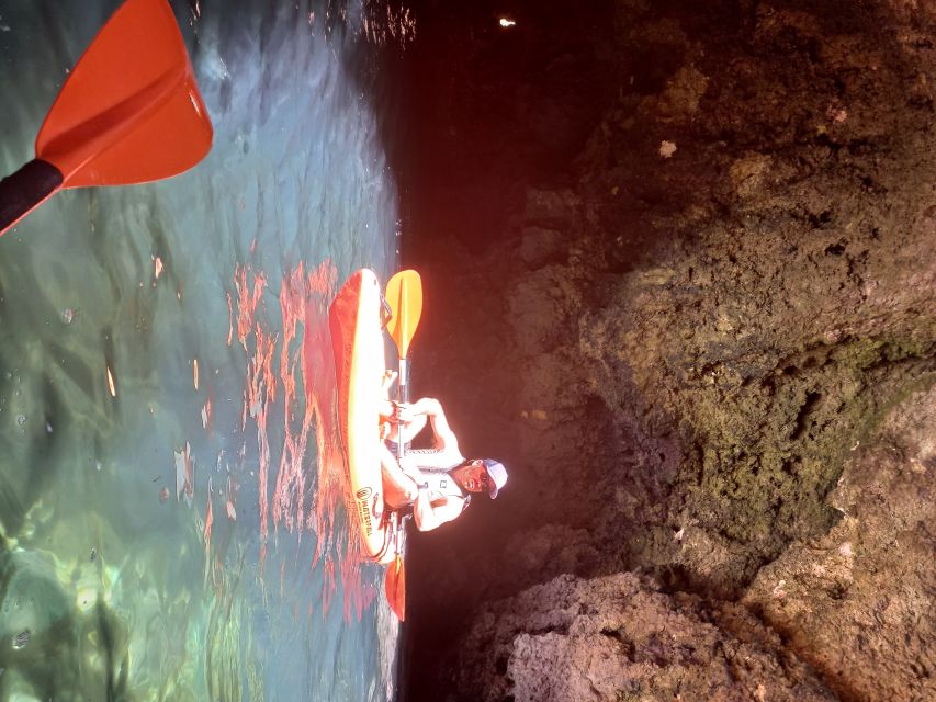 Small-group Kayak experience at Ponta da Piedade - Key points to know before booking