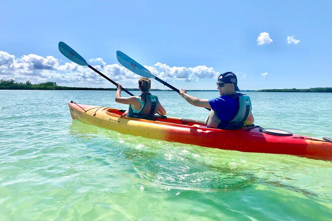 Small Group Kayak Tour of the Shell Key Preserve - Key points to know before you book