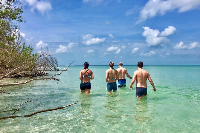 Small Group Kayak Tour of the Shell Key Preserve - Paddling into an 1,800-acre coastal preserve