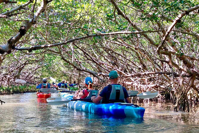 Small Group Kayak Tour of the Shell Key Preserve - Guides who shape the outing
