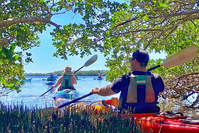 Small Group Kayak Tour of the Shell Key Preserve - Wildlife is a bonus, not a promise