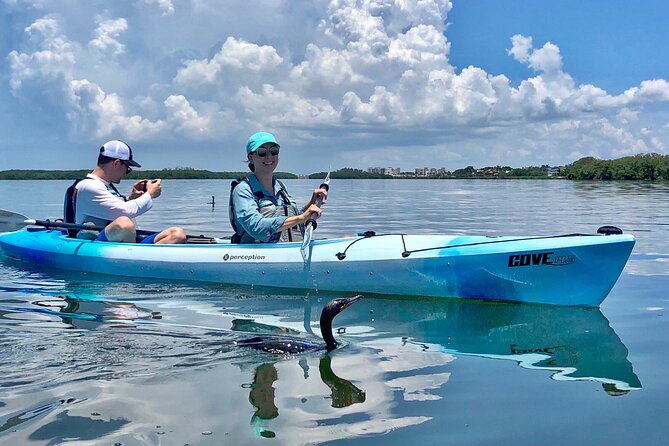 Small Group Kayak Tour of the Shell Key Preserve - Is the physical effort manageable?