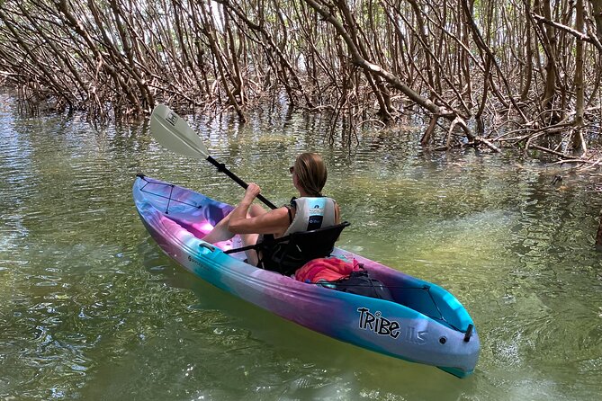 Small Group Kayak Tour of the Shell Key Preserve - What to bring for Florida sun and open water