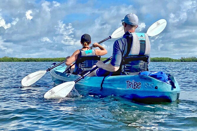 Small Group Kayak Tour of the Shell Key Preserve - Does $79 offer good value?