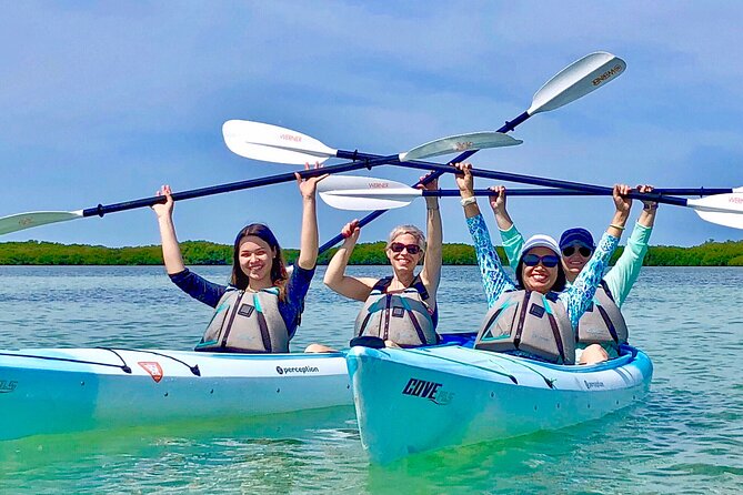Small Group Kayak Tour of the Shell Key Preserve - What the three-hour route feels like