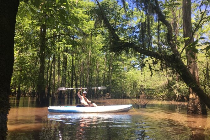 Small-Group Manchac Swamp Kayak Tour - Why this is a different New Orleans excursion