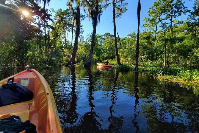 Small-Group Manchac Swamp Kayak Tour - Wildlife: exciting, but never guaranteed