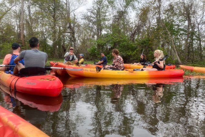 Small-Group Manchac Swamp Kayak Tour - Group size, transport, and value
