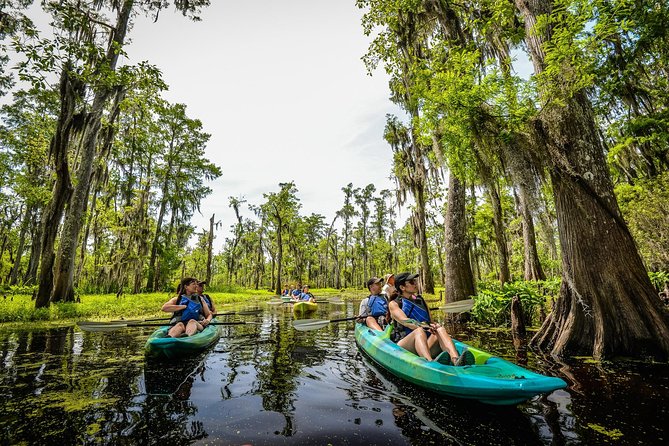 Small-Group Manchac Swamp Kayak Tour with Local Guide - Key things to know
