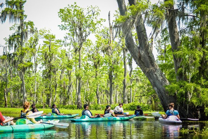 Small-Group Manchac Swamp Kayak Tour with Local Guide - Who will enjoy this tour most
