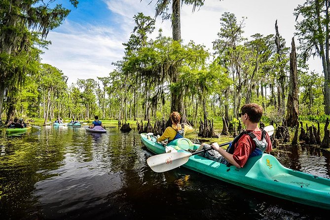 Small-Group Manchac Swamp Kayak Tour with Local Guide - Paddling the slow water
