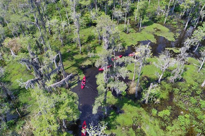 Small-Group Manchac Swamp Kayak Tour - The paddle lesson and first minutes on the water