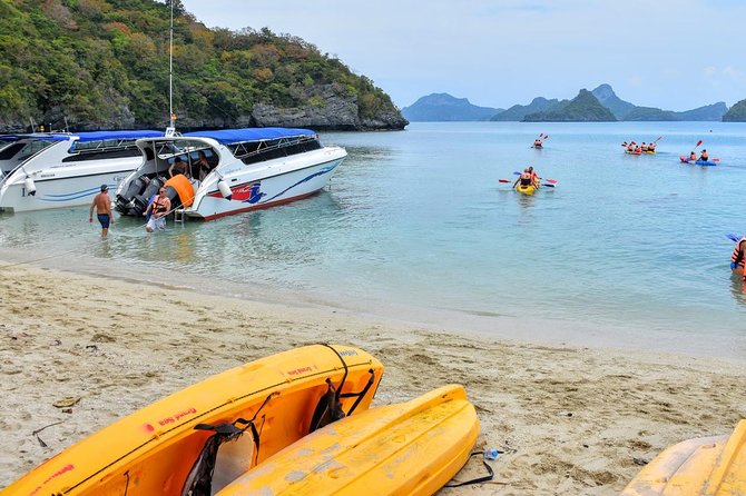 Snorkel and Kayak Tour to Angthong Marine Park by Speedboat from Koh Samui - Thai lunch and the practical side of a group tour