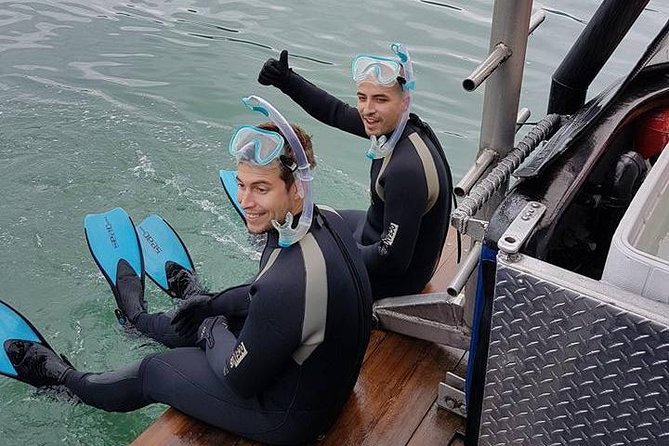 Snorkel, Kayak, and Seal Adventure: Vancouver Boat Tour - A flexible format for mixed groups