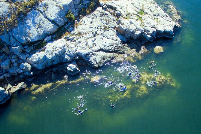 Snorkel, Kayak, and Seal Adventure: Vancouver Boat Tour - Snorkeling with a wetsuit and guide