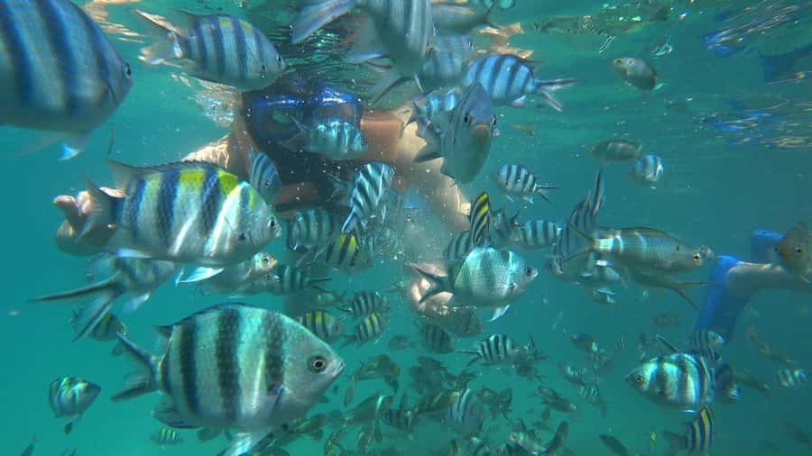 Snorkeling Kayaking Fishing Swimming Activities - What this Bintan water day is really like