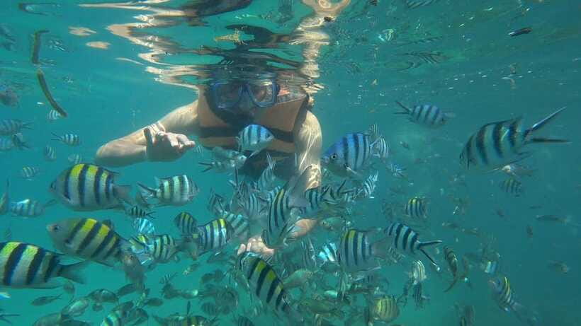 Snorkeling Kayaking Fishing Swimming Activities - Kayaking toward the white-sand beach