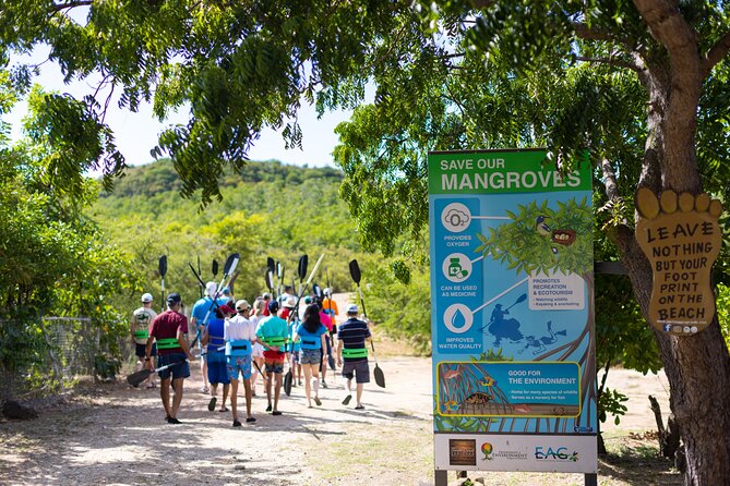 SoCoHo Eco Half Day - Mangrove Kayak & Reef Snorkeling - From the beach to Cades Reef by motorboat