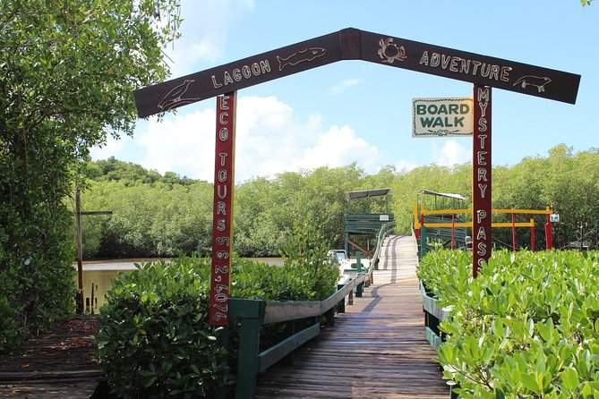 SoCoHo Eco Half Day - Mangrove Kayak & Reef Snorkeling - Guides who add warmth and local knowledge